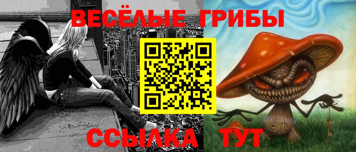 Галлюциногенные грибы мухоморы Дедовск